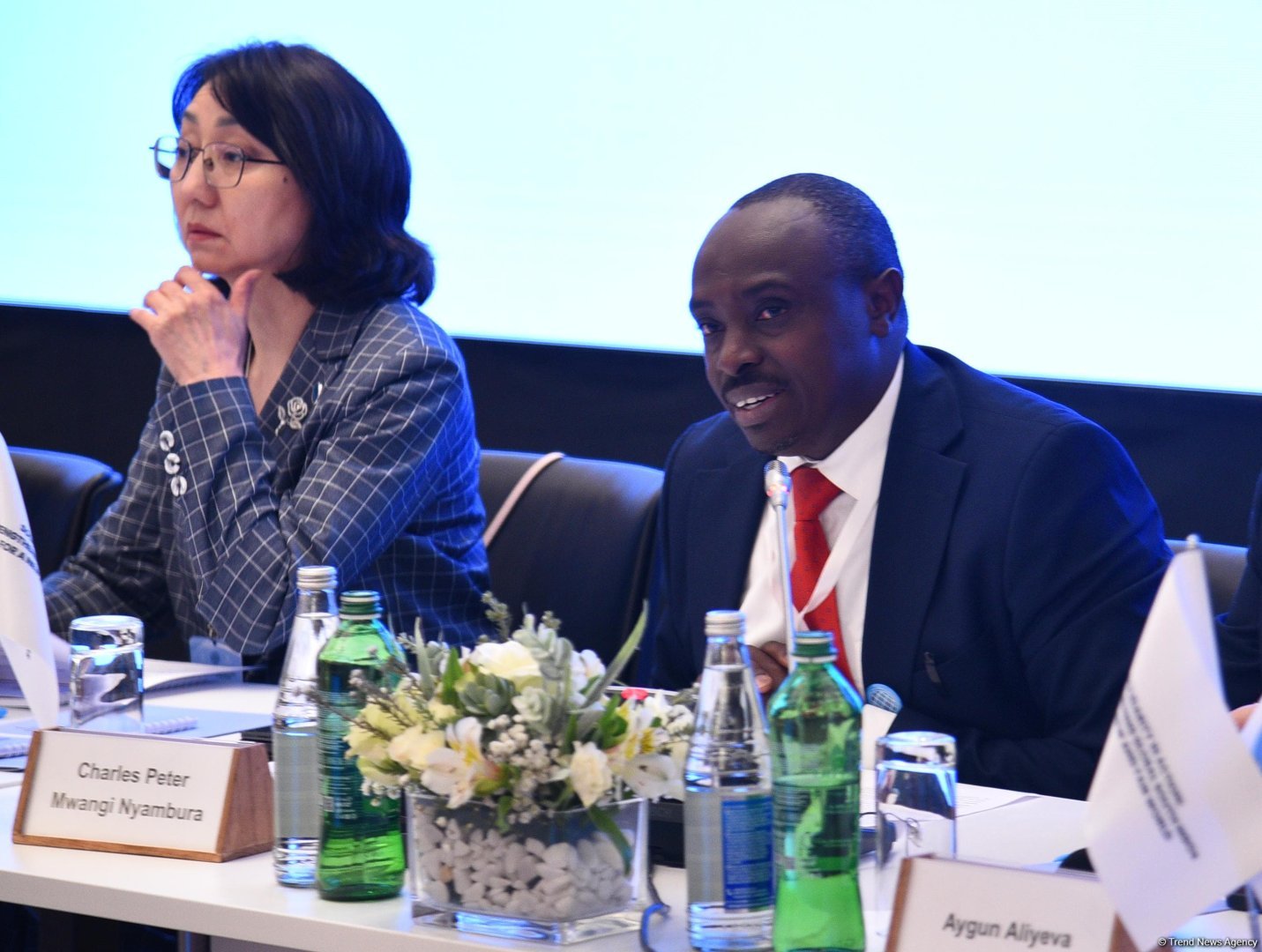 Baku hosts founding conference of Global South NGO Platform (PHOTO)