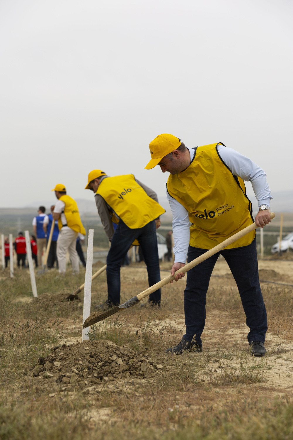 Yelo Bank contributes to a greener future (PHOTO)