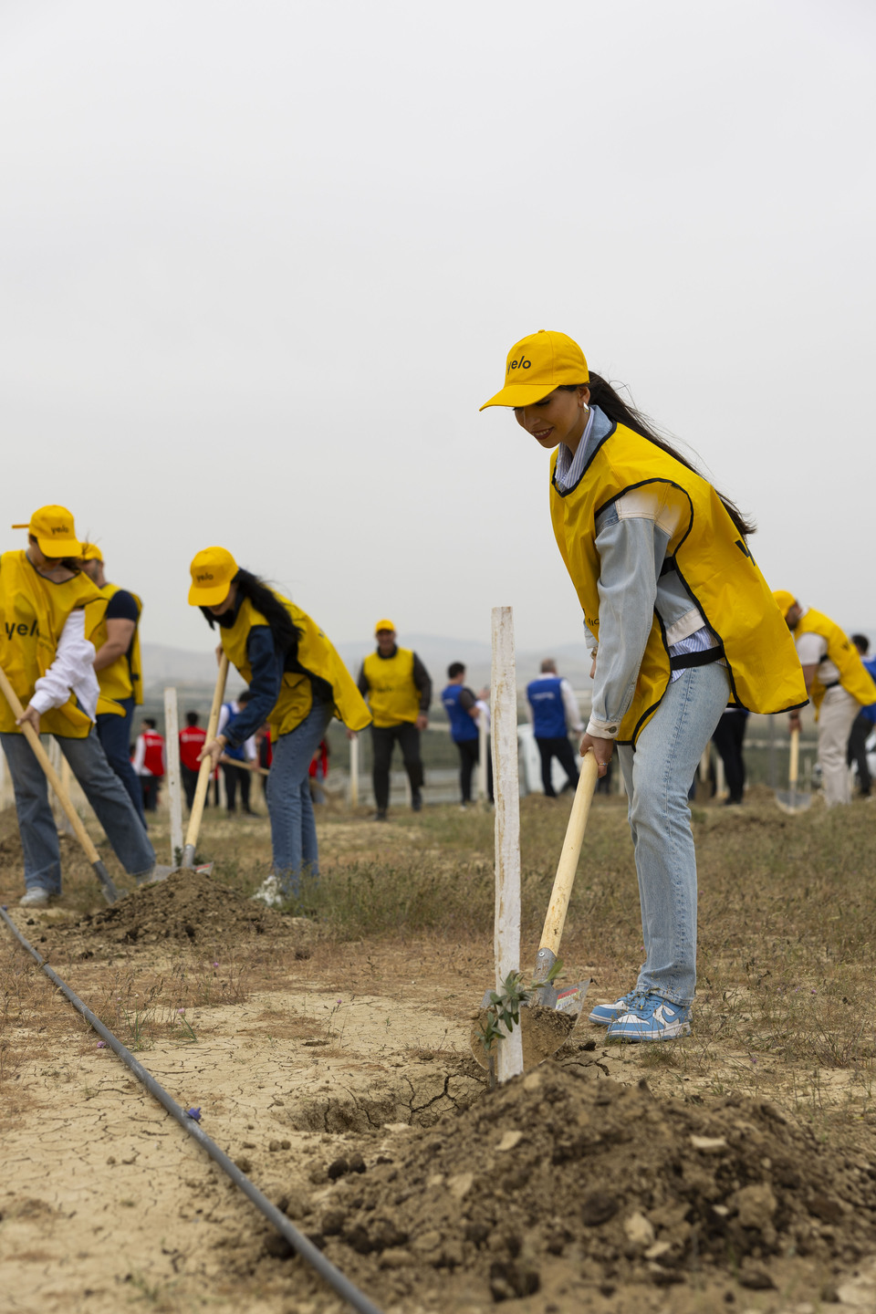 Yelo Bank contributes to a greener future (PHOTO)
