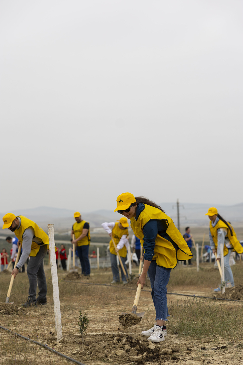 Yelo Bank contributes to a greener future (PHOTO)