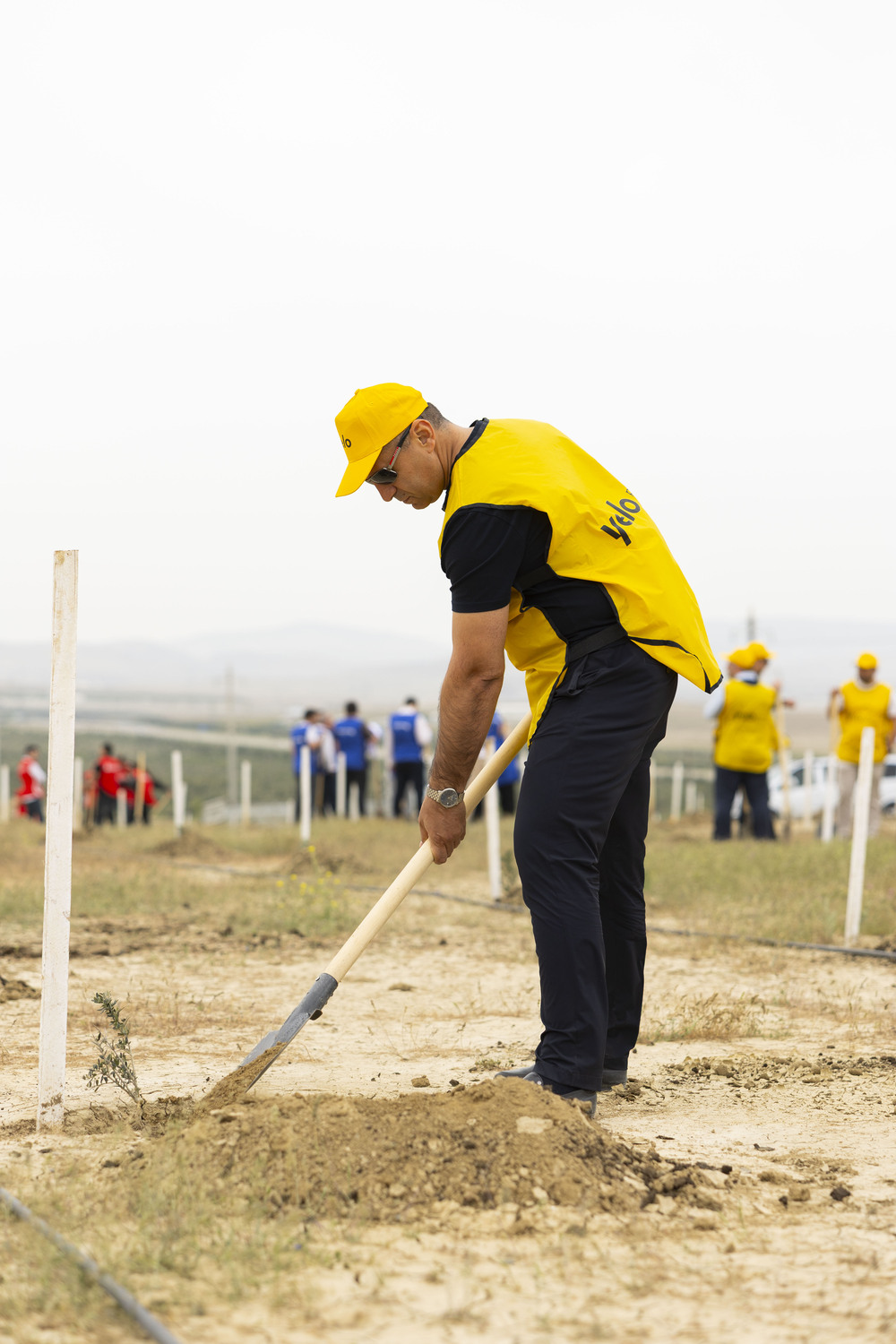 Yelo Bank contributes to a greener future (PHOTO)