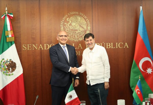 Elchin Amirbayov holds meeting in Senate of Mexico (PHOTO)