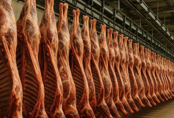 Azerbaijan’s meat production rises while imports shrink in 4M2025