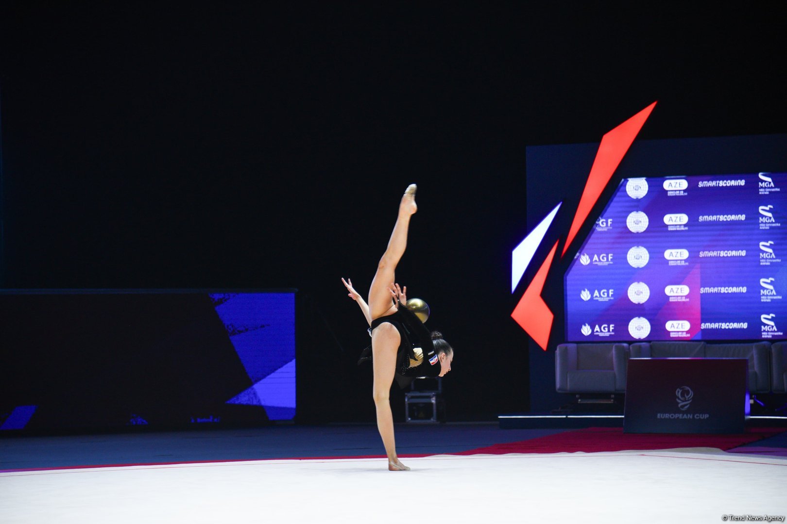 2025 European Cup in Rhythmic Gymnastics kicks off in Azerbaijan's Baku (PHOTO)