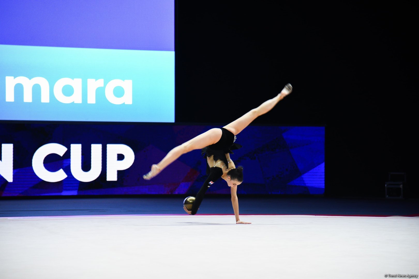 2025 European Cup in Rhythmic Gymnastics kicks off in Azerbaijan's Baku (PHOTO)
