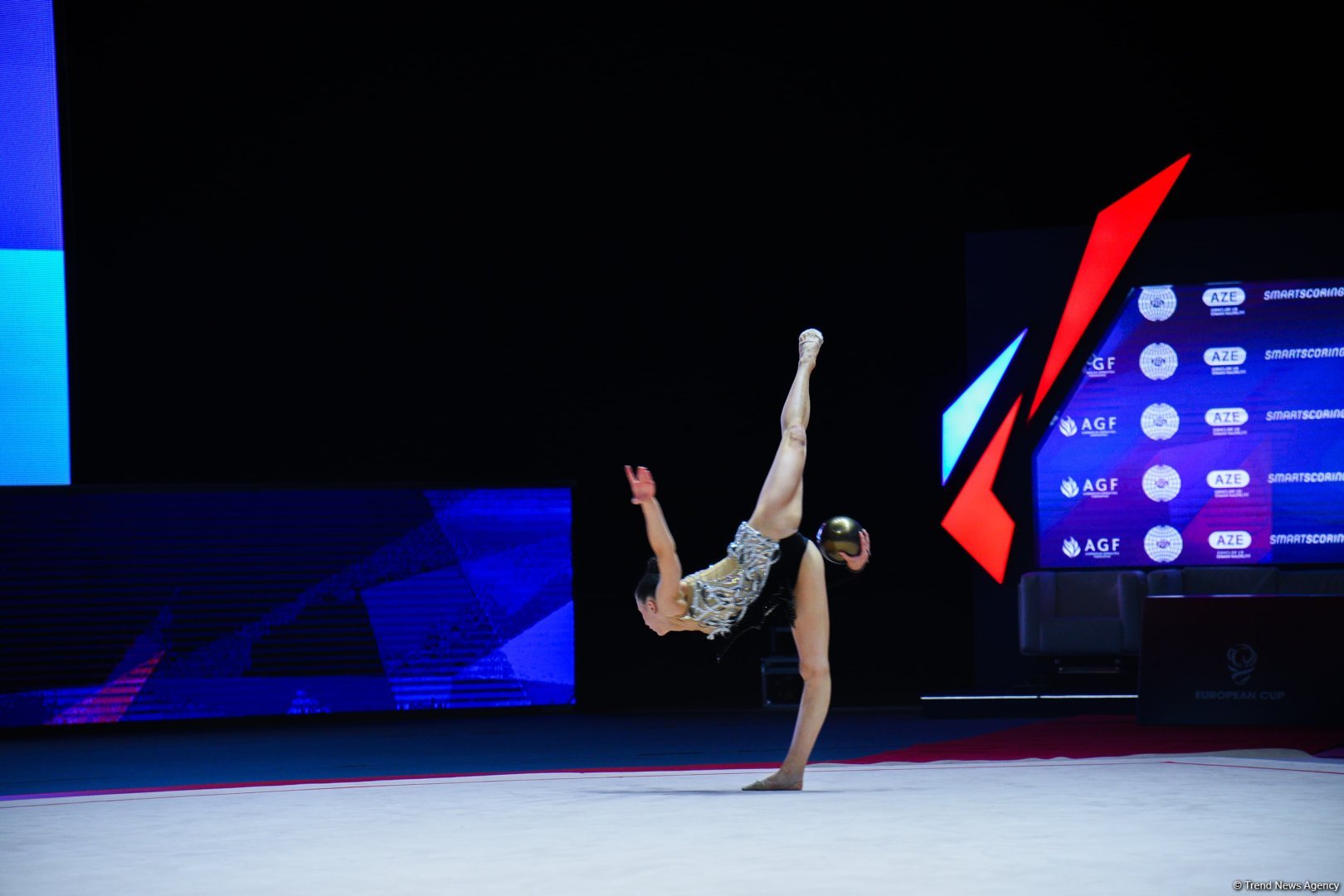 2025 European Cup in Rhythmic Gymnastics kicks off in Azerbaijan's Baku (PHOTO)
