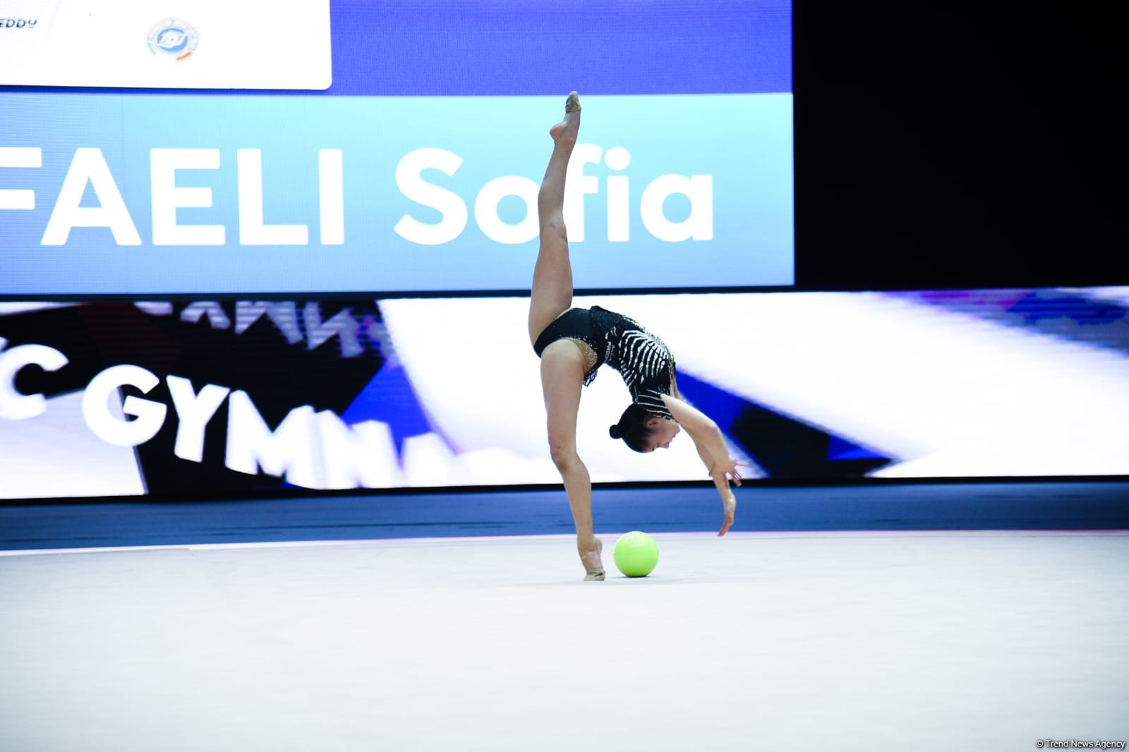 2025 European Cup in Rhythmic Gymnastics kicks off in Azerbaijan's Baku (PHOTO)