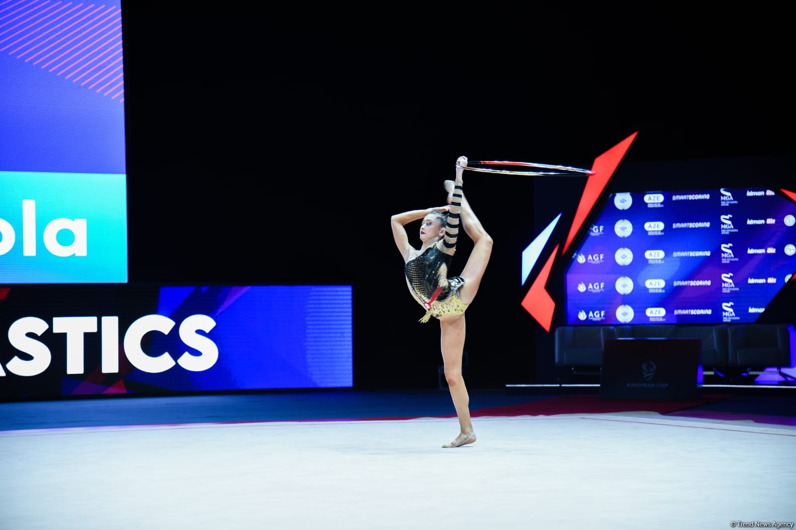 2025 European Cup in Rhythmic Gymnastics kicks off in Azerbaijan's Baku (PHOTO)
