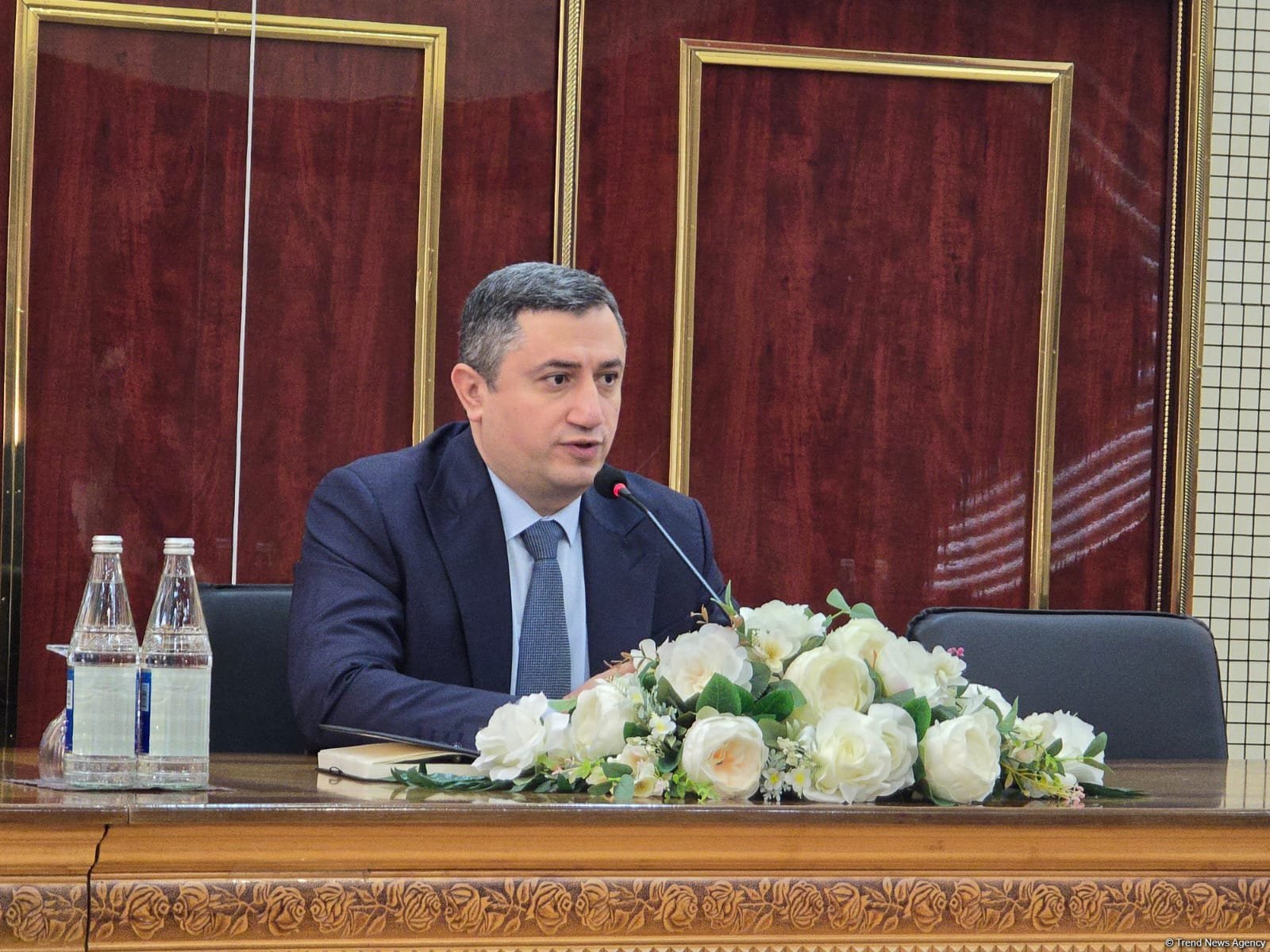 Azerbaijan's Baku hosts int'l conference on constitution's role in statehood protection