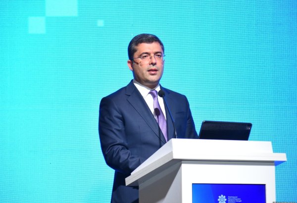 Azerbaijan’s constitution lays legal groundwork for all state achievements - official