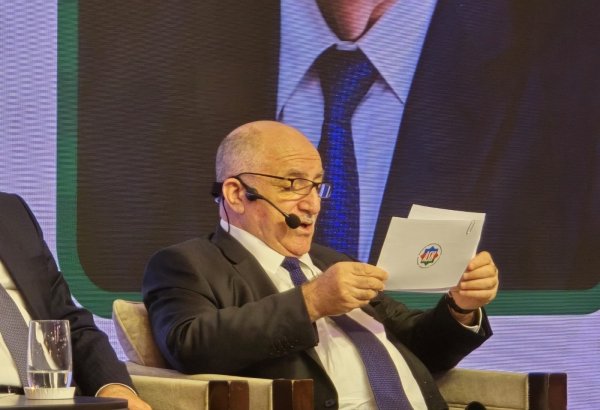 Azerbaijan counts figures on entrepreneurs running businesses without legal entities
