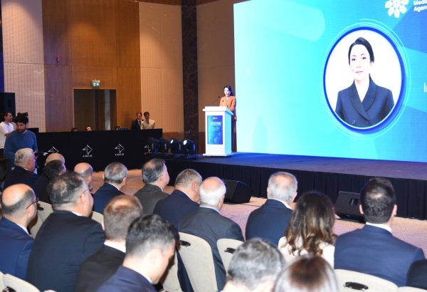 Serious risks loom in creation of new media environment - Azerbaijani ombudsperson