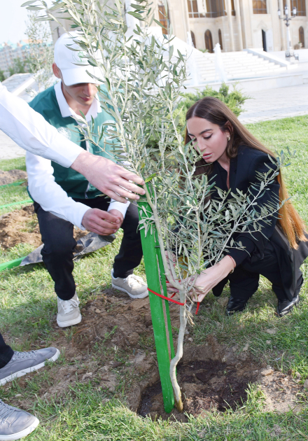 Vice-President of Heydar Aliyev Foundation Leyla Aliyeva and Arzu Aliyeva take part in tree-planting campaign in Sumgayit (PHOTO)