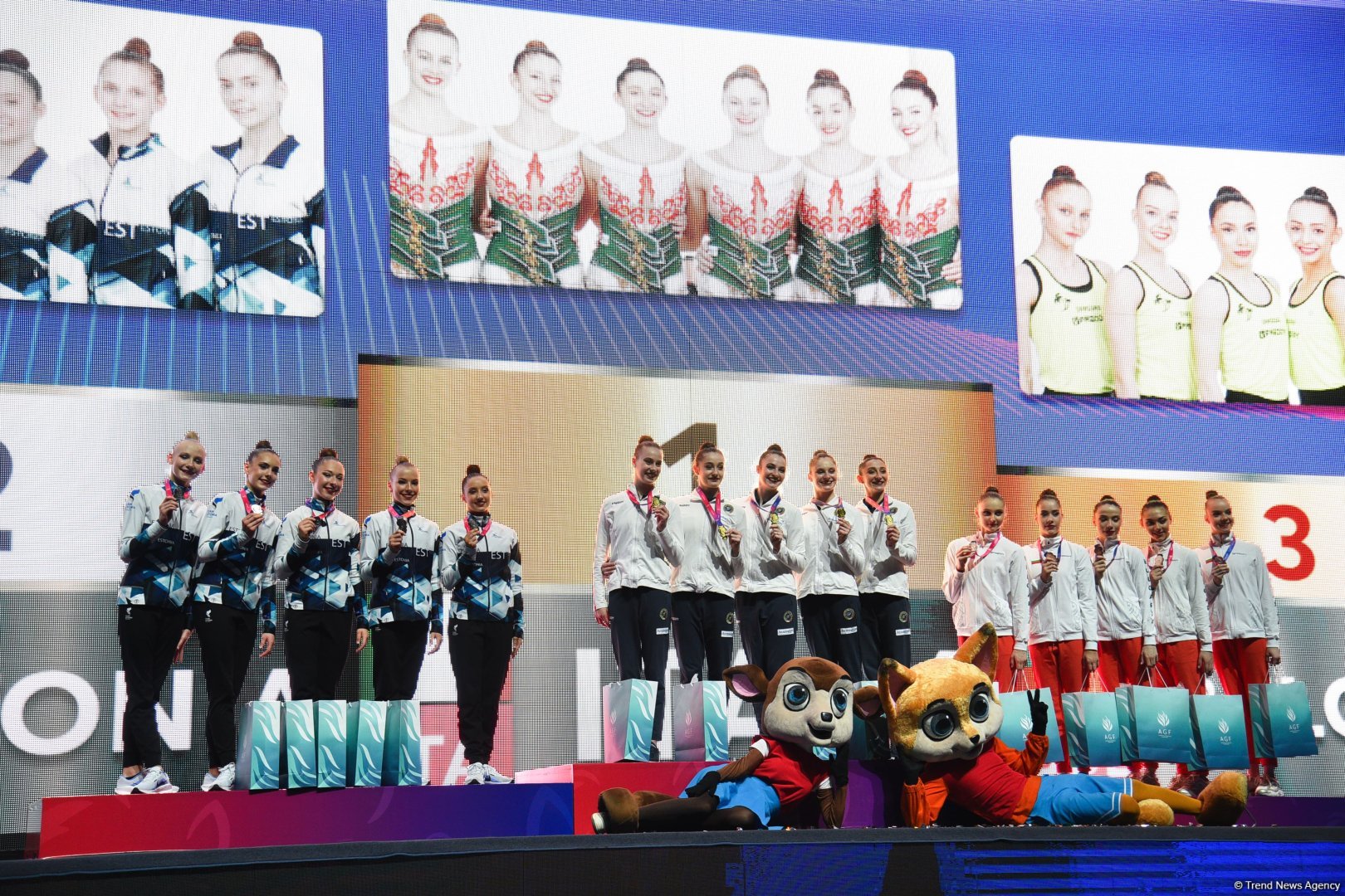 Azerbaijani team wins gold medal at European Cup in Rhythmic Gymnastics in Baku (PHOTO)