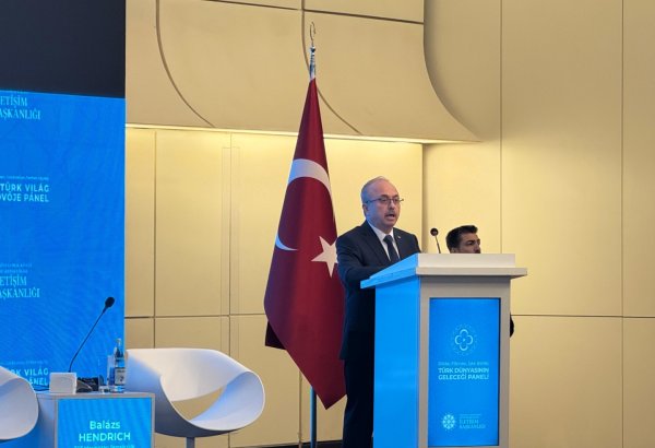 Turkic states working towards achievement of common goals - ambassador