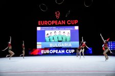 Third day of European Rhythmic Gymnastics Cup kicks off in Azerbaijan's Baku (PHOTO)