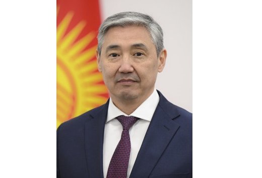 Kyrgyzstan to continue active participation in ADB’s regional initiatives - minister