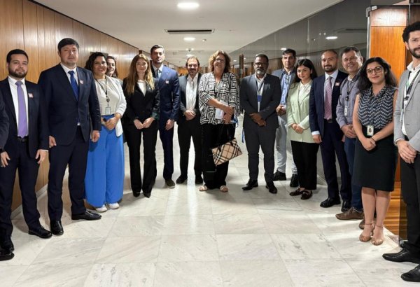 Azerbaijan’s COP29 team forges climate synergy with Brazil ahead of COP30