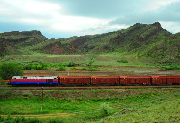 Kazakhstan Railways reports record growth in livestock feed shipments to China