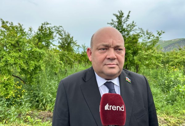 Azerbaijan's Ganja auto plant unveils tractor output figures in co-op with Belarus