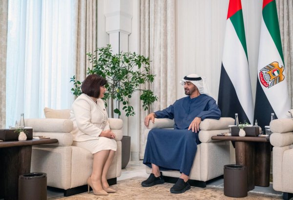 Azerbaijan Parliament speaker holds talks with UAE President on expanding relations (PHOTO)