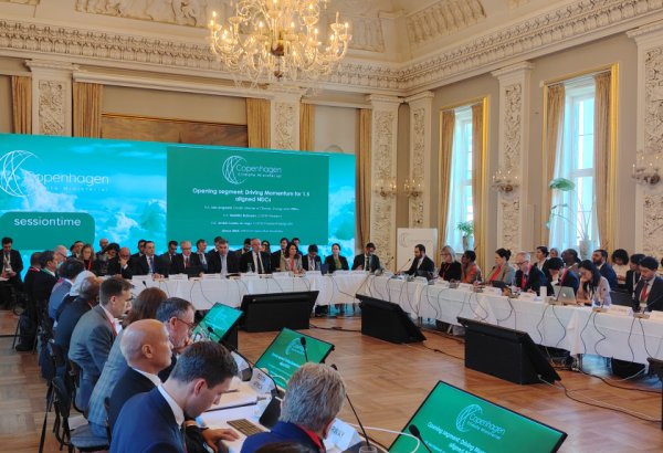 Azerbaijan predicts game-changing leap in climate change adaptation in 2025