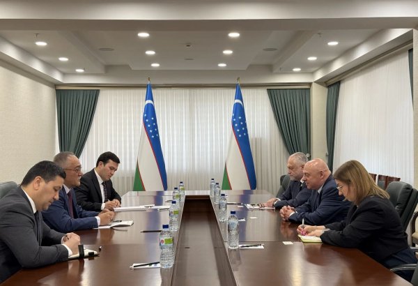 Uzbekistan, Poland review Afghanistan-related concerns