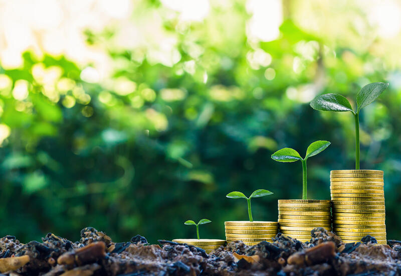 Turkmenistan lures France with new investment opportunities