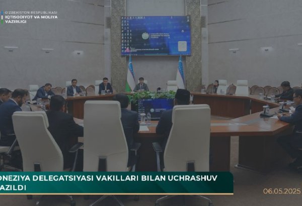Uzbekistan, Indonesia engage in key talks on public finance reforms