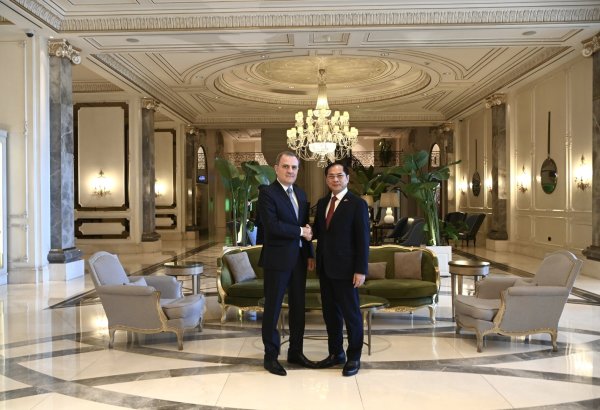 Azerbaijani FM explores future of strategic partnership with Vietnamese counterpart