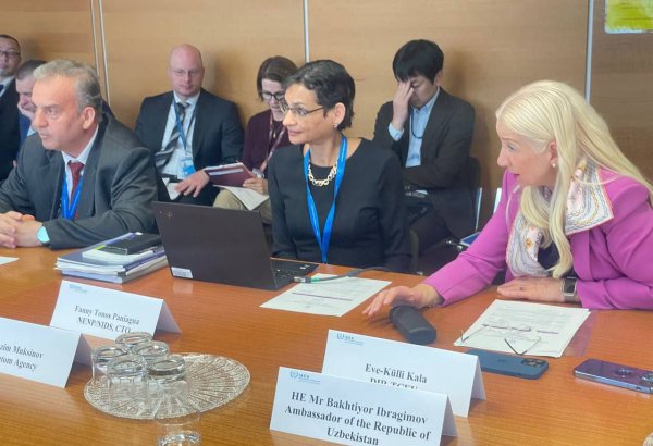 Uzbekistan, IAEA chart path forward for nuclear development