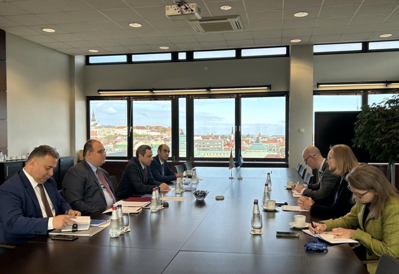 Azerbaijan, Estonia brainstorm visa policy (PHOTO)