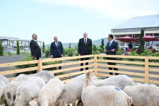 President Ilham Aliyev attends opening of livestock complex in Khojaly’s Khanabad village (PHOTO)