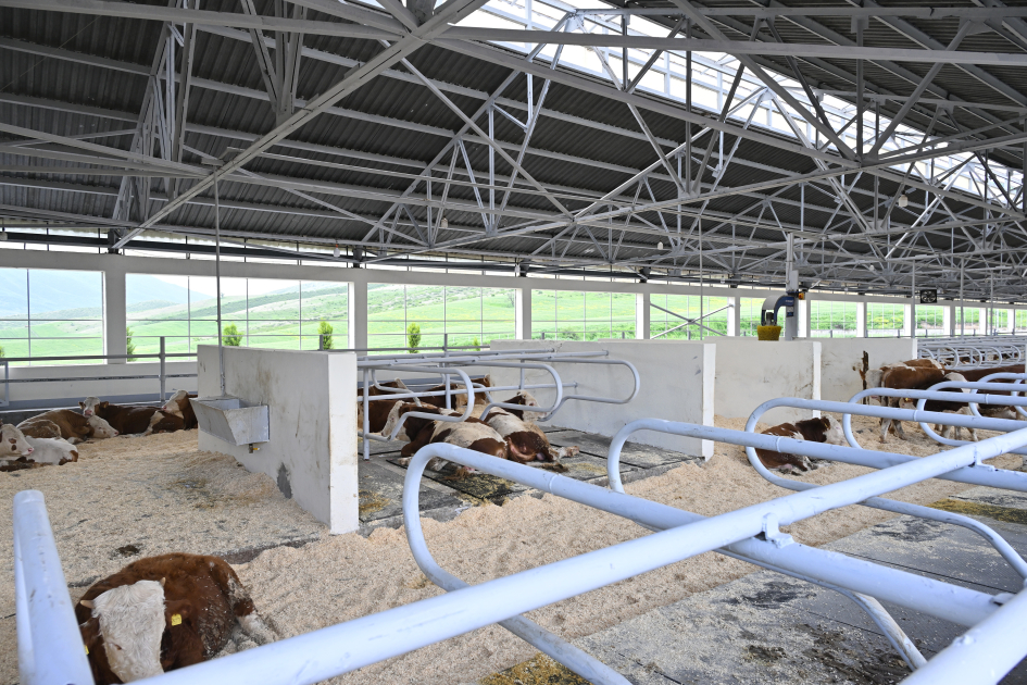 President Ilham Aliyev attends opening of livestock complex in Khojaly’s Khanabad village (PHOTO)