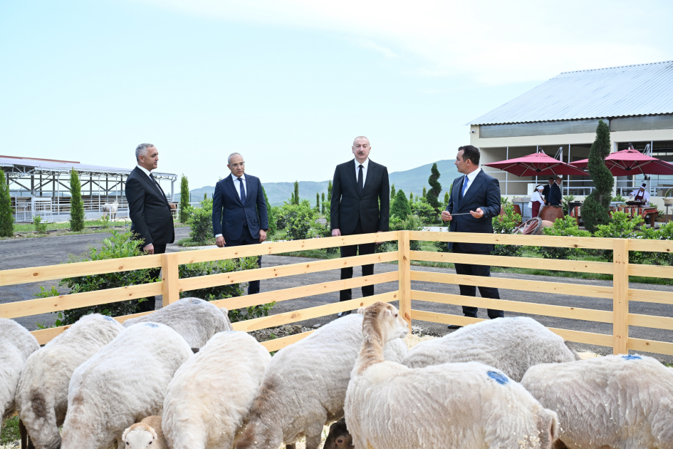 President Ilham Aliyev attends opening of livestock complex in Khojaly’s Khanabad village (PHOTO)