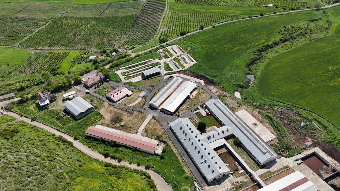 President Ilham Aliyev attends opening of livestock complex in Khojaly’s Khanabad village (PHOTO)