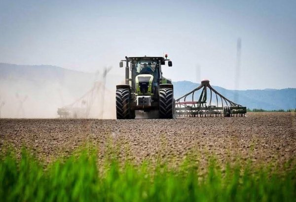 Kazakhstan funds spring harvest with new financial support program
