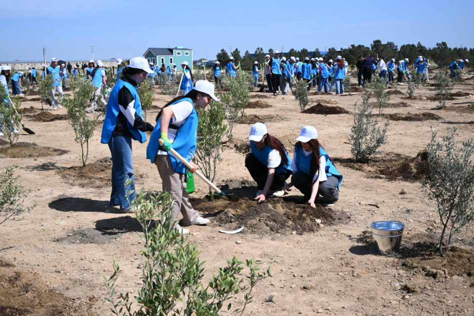 Heydar Aliyev Foundation VP Leyla Aliyeva, Arzu Aliyeva participate in tree-planting campaign held in Baku (PHOTO)