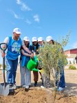 Heydar Aliyev Foundation VP Leyla Aliyeva, Arzu Aliyeva participate in tree-planting campaign held in Baku (PHOTO)