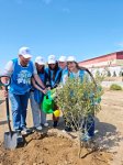 Heydar Aliyev Foundation VP Leyla Aliyeva, Arzu Aliyeva participate in tree-planting campaign held in Baku (PHOTO)