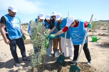 Heydar Aliyev Foundation VP Leyla Aliyeva, Arzu Aliyeva participate in tree-planting campaign held in Baku (PHOTO)