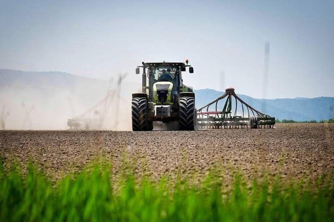 Kazakhstan funds spring harvest with new financial support program