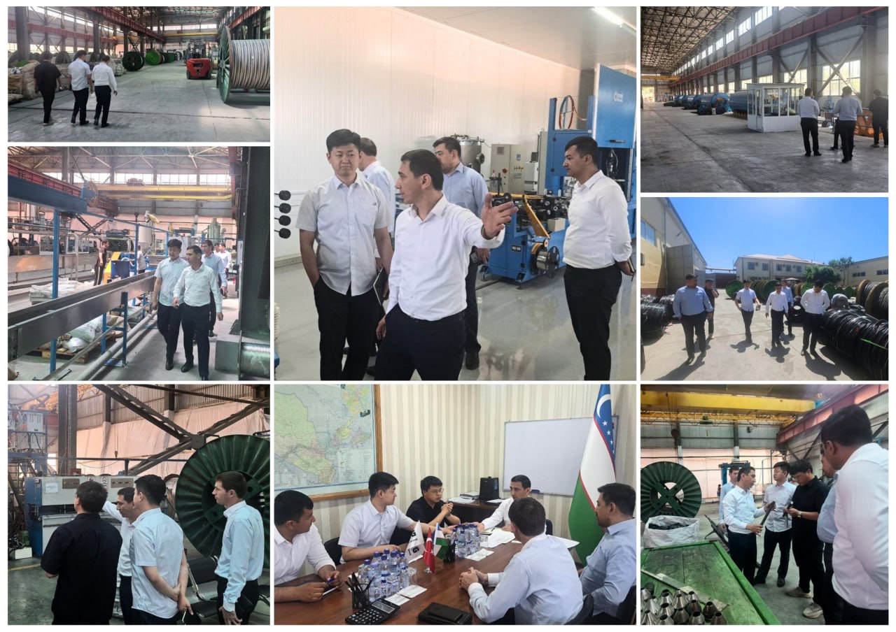 Chinese company explores cable supply for Uzbekistan’s green energy projects