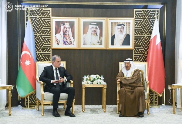 Azerbaijani FM briefs Bahraini Council Speaker on normalization efforts with Armenia (PHOTO)