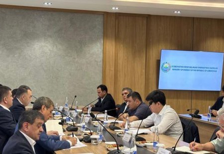 Tajikistan, Uzbekistan move closer to finalizing energy cooperation agreement