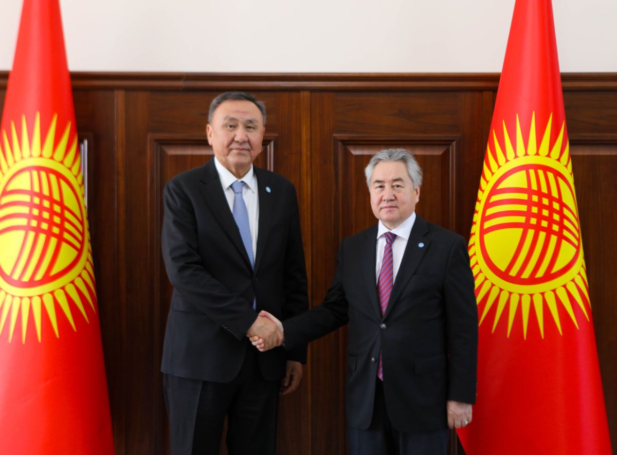 Kyrgyzstan, OTS mull over country's agenda as organization chair