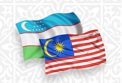 Uzbekistan, Malaysia explore nuts and bolts of joint nuclear energy initiatives