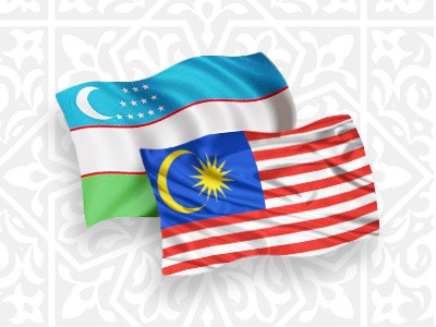 Uzbekistan, Malaysia explore nuts and bolts of joint nuclear energy initiatives