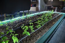 Caspian Agro and Interfood exhibitions continue in Azerbaijan's Baku (PHOTO)