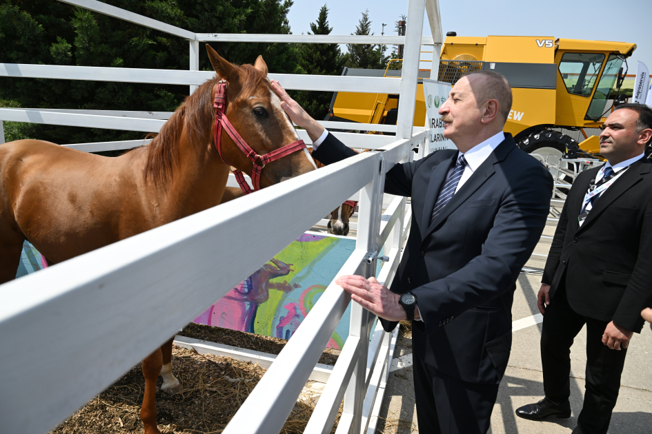 President Ilham Aliyev views InterFood Azerbaijan and Caspian Agro exhibitions (PHOTO/VIDEO)